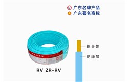 RV ZR-RV九游会老哥电缆